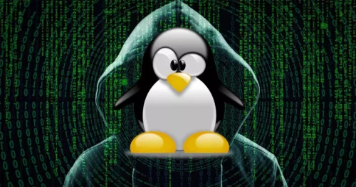 Linux服务SSD内存爆了？宝塔面板上面SSD内存突然爆红？试试下面的方法即可解决。-多维导航