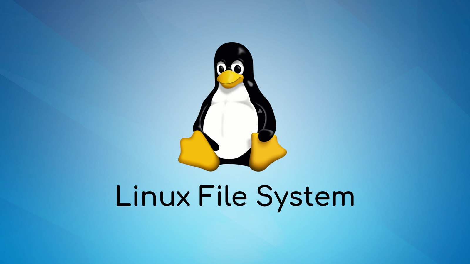 mjj版的linux入门教程-多维导航